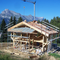 Bottollier Charpente vieux bois Haute-Savoie